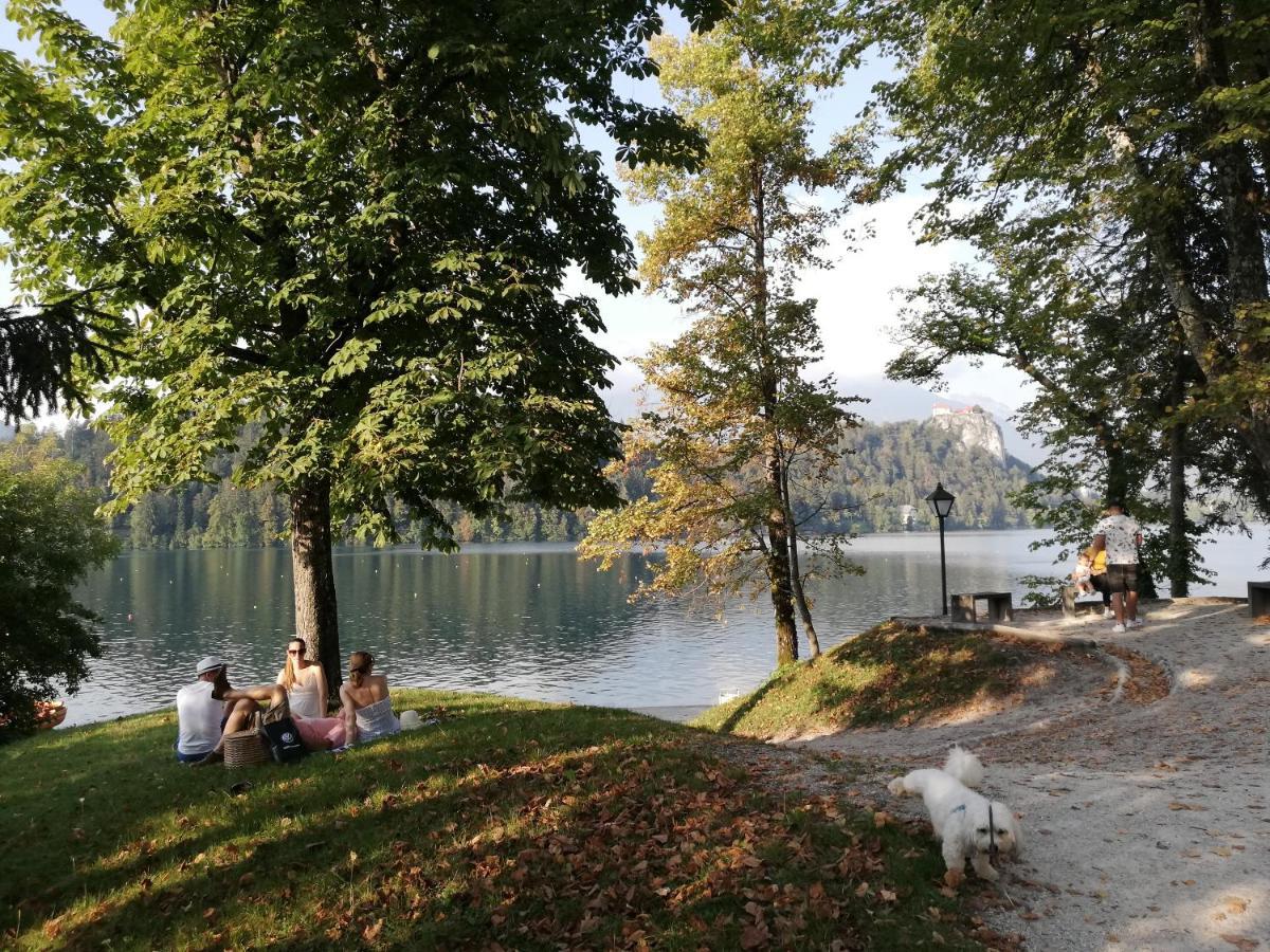 Tree Leilighet Bled Eksteriør bilde