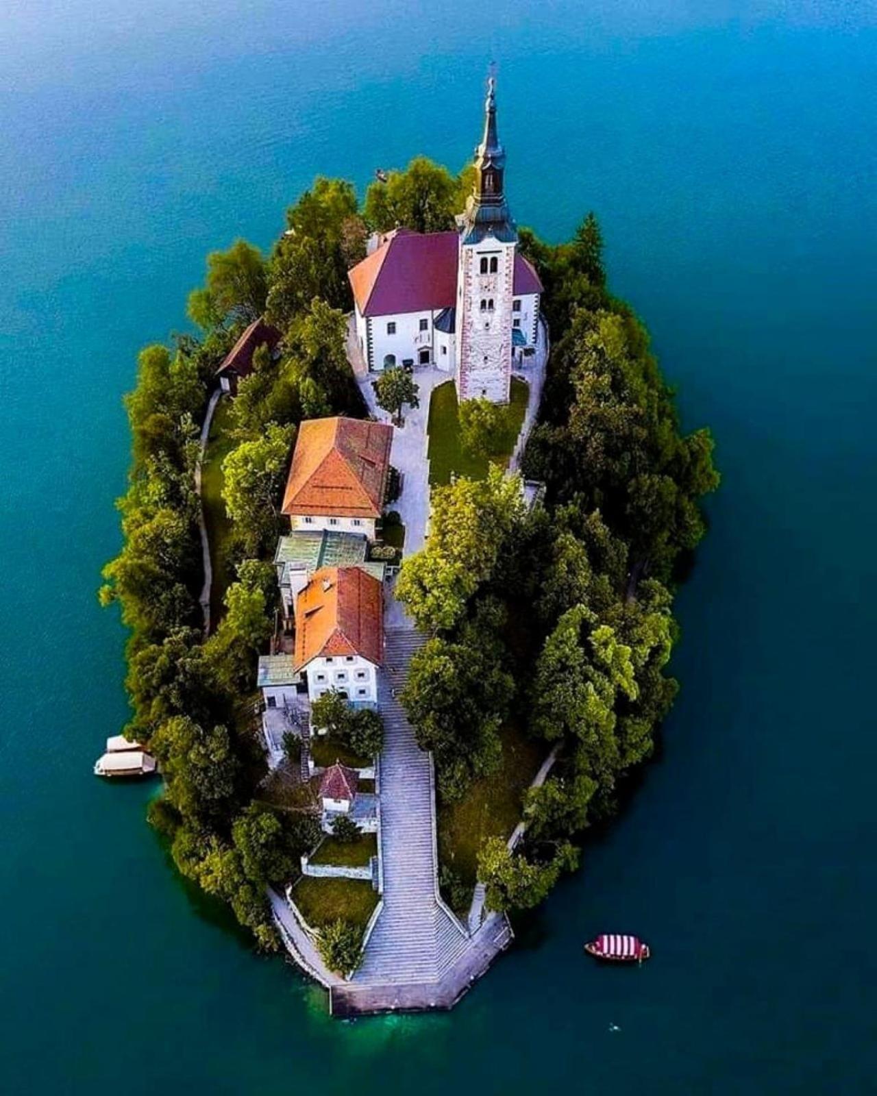 Tree Leilighet Bled Eksteriør bilde